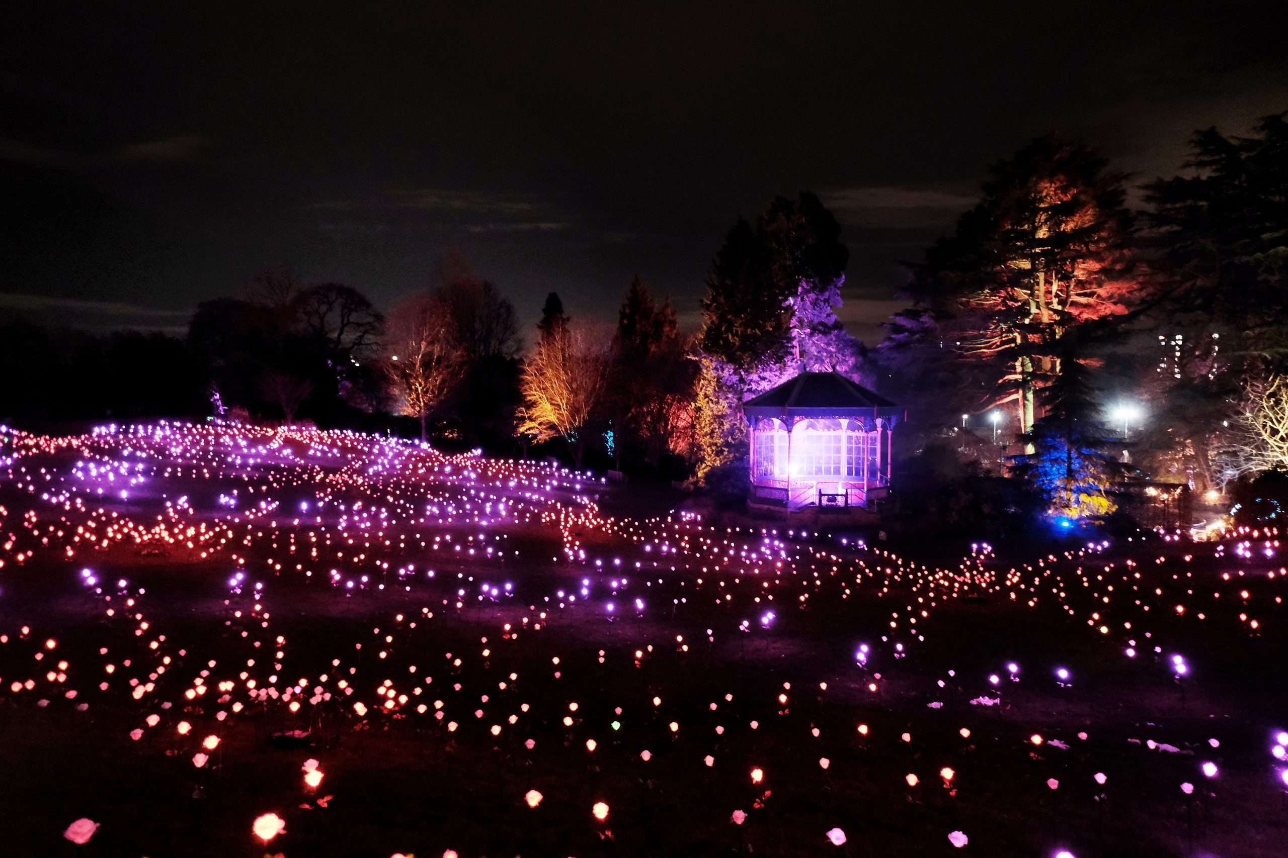 Luminate Light Trail 2026