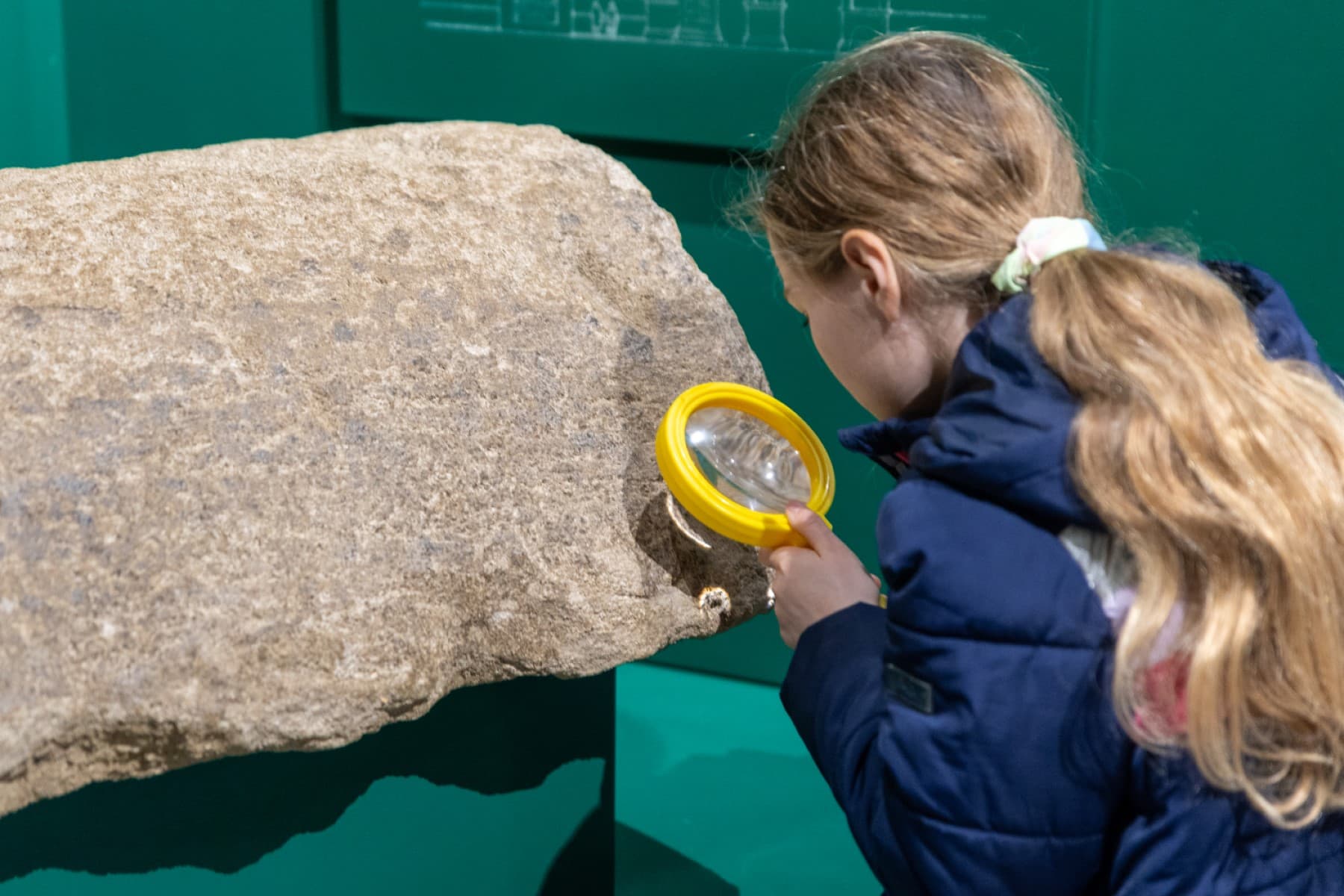 Archaeology for Families at Verulamium Museum