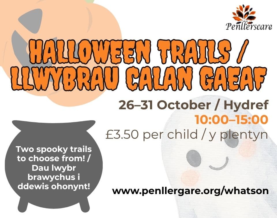 Halloween Trails at Penllergare