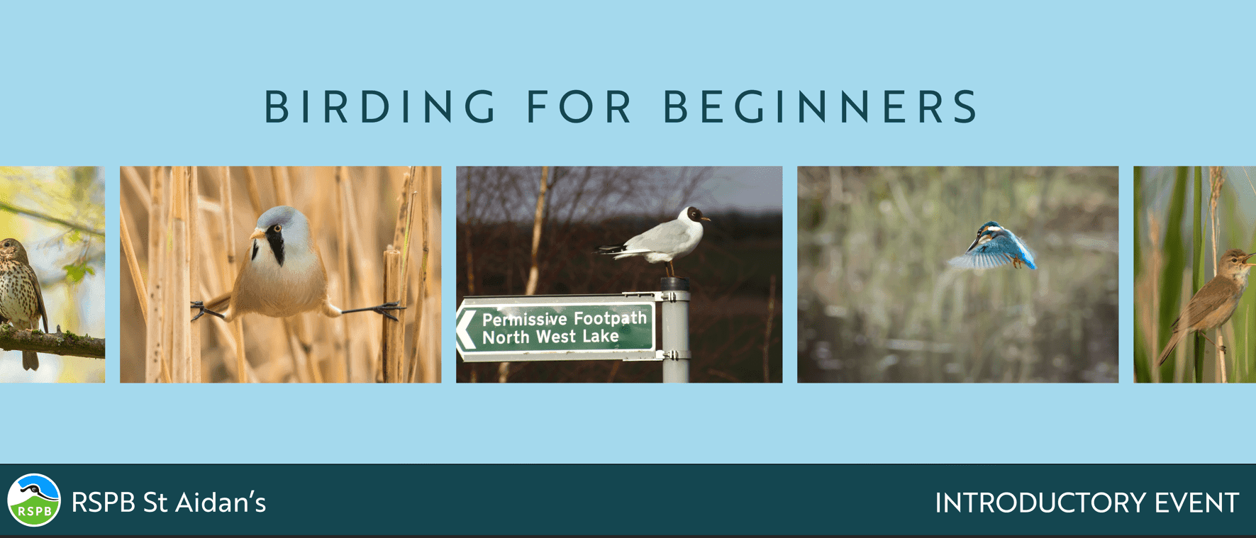 Birding For Beginner's- RSPB St Aidan's
