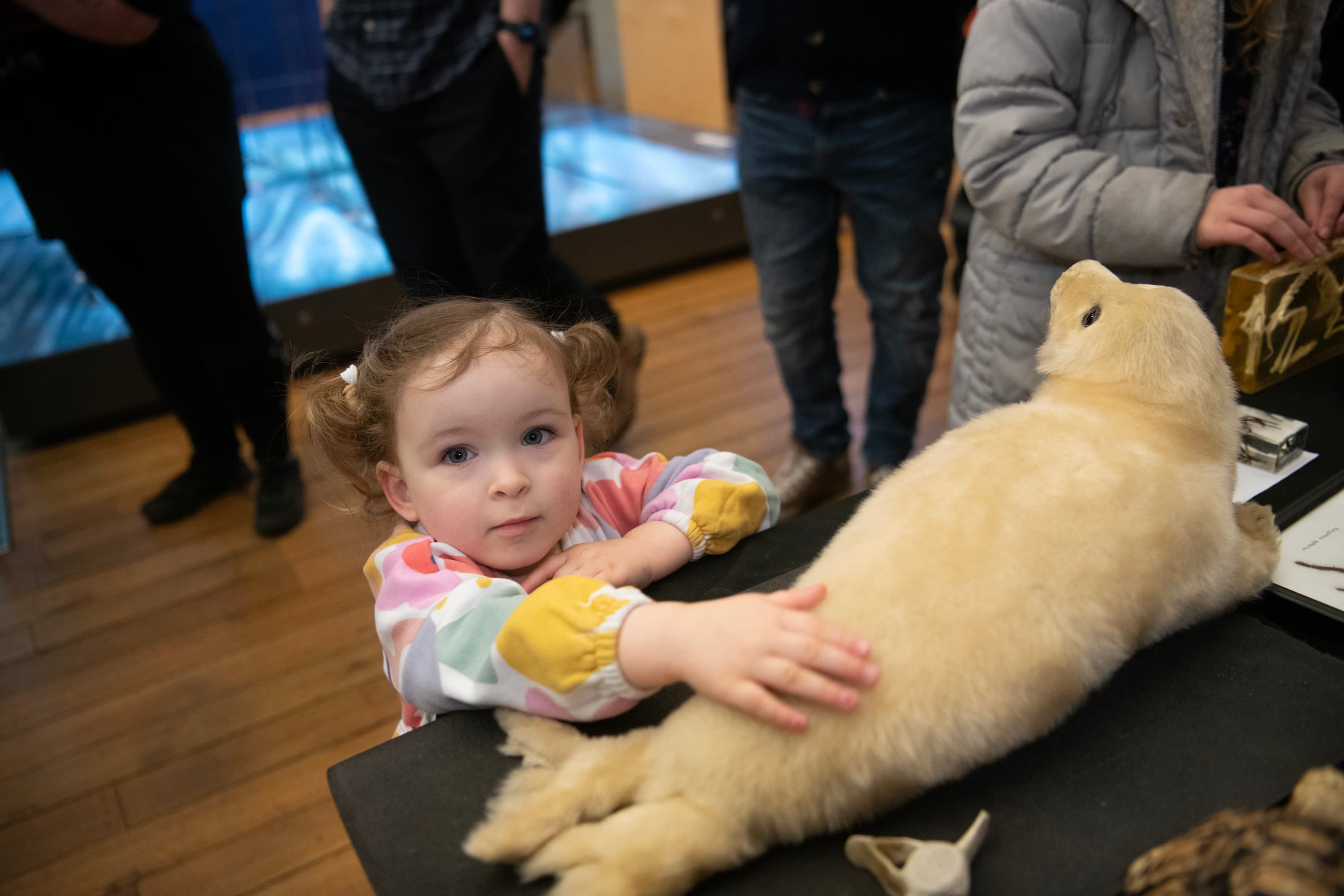Mouse Tales - Storytime for under 5s and their families
