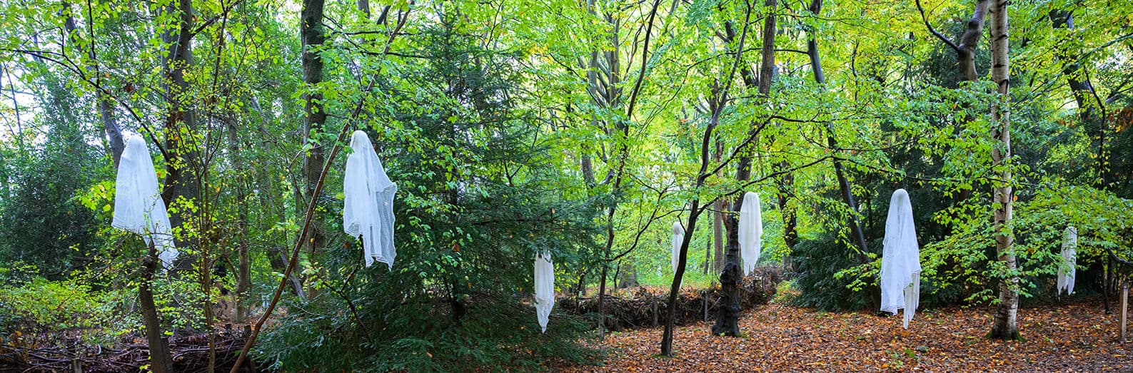 Crowes Wood Halloween Trail