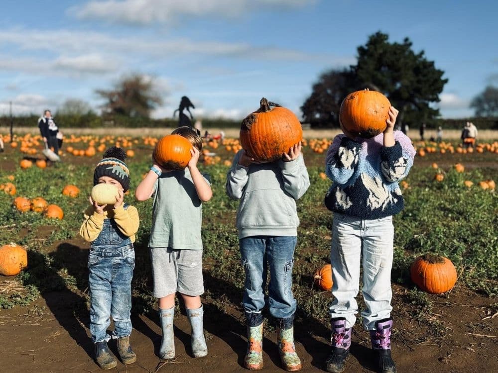 SEND Pumpkin Picking Session at Millets Farm