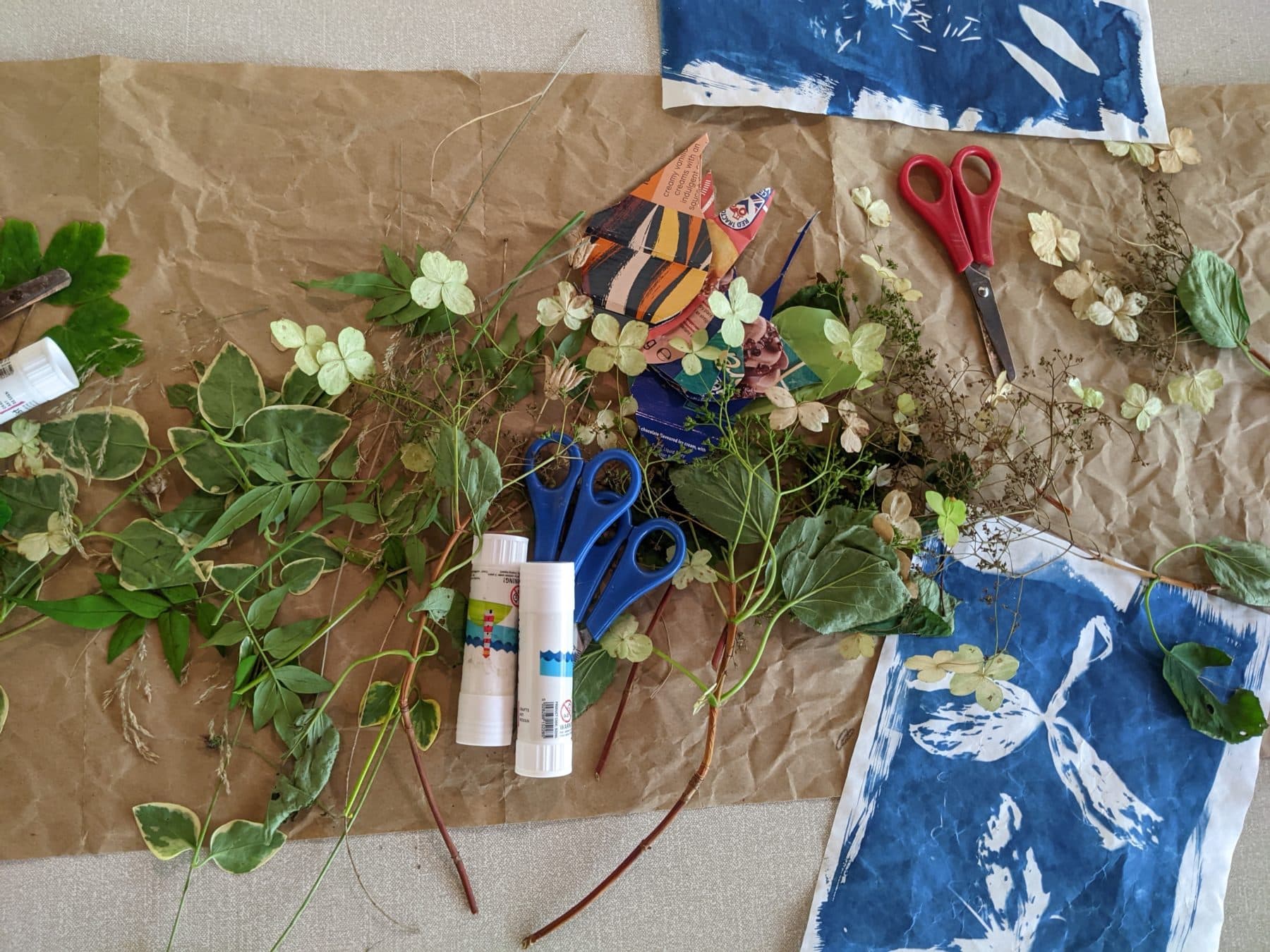 Green Shoots! Family Workshops