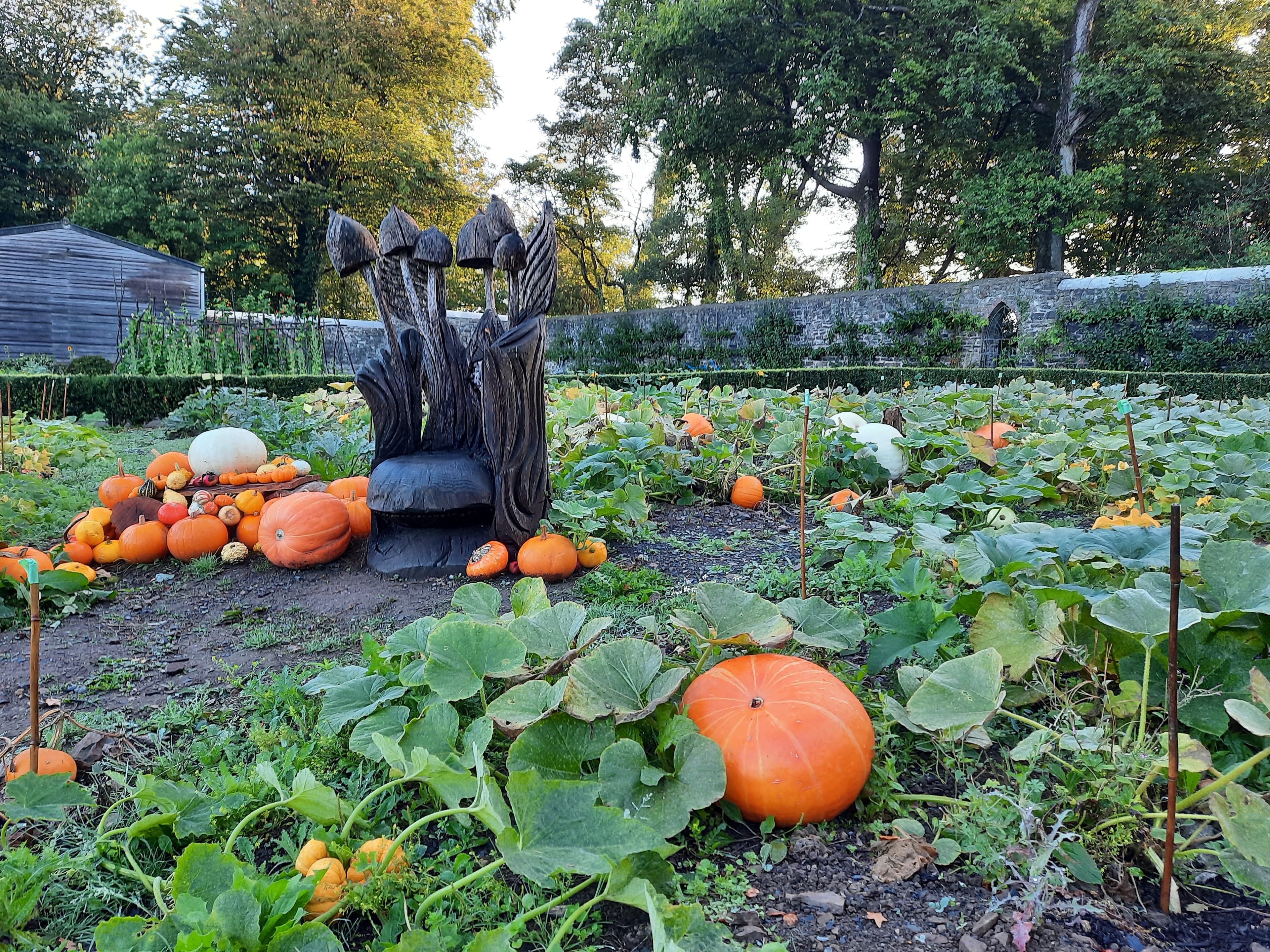 Halloween Trail