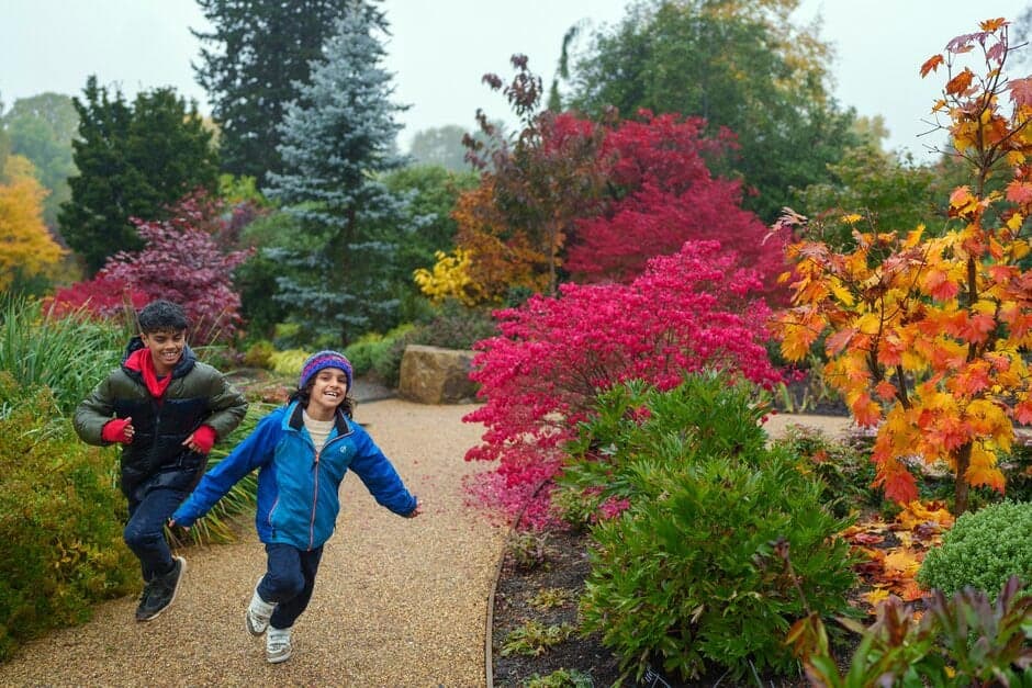 Spooky plant trail at RHS Harlow Carr