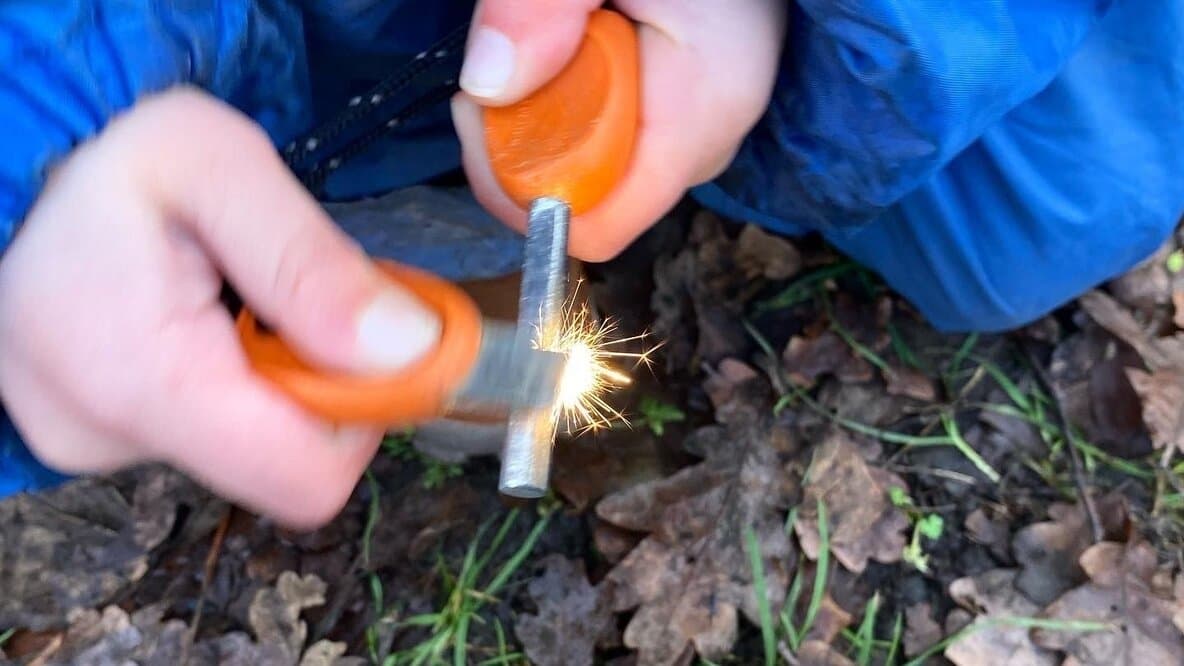 Young Wildlings - Woodland Adventure Day for children age 5-8 years