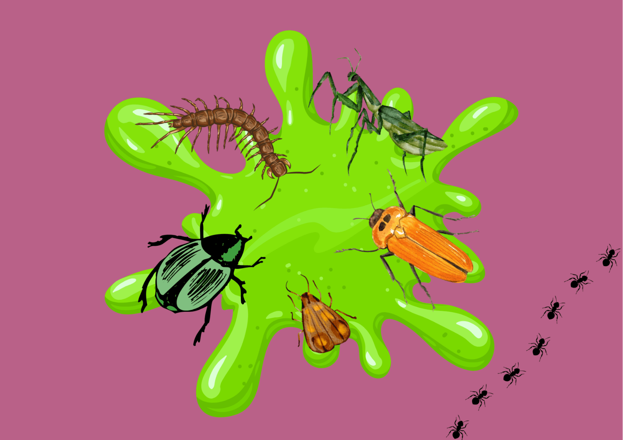 'Creepy Crawlies' Outdoor Trail