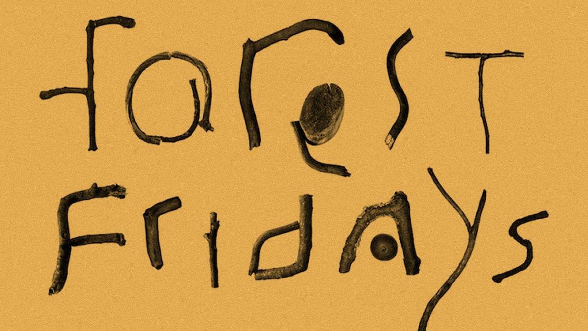 Forest Fridays