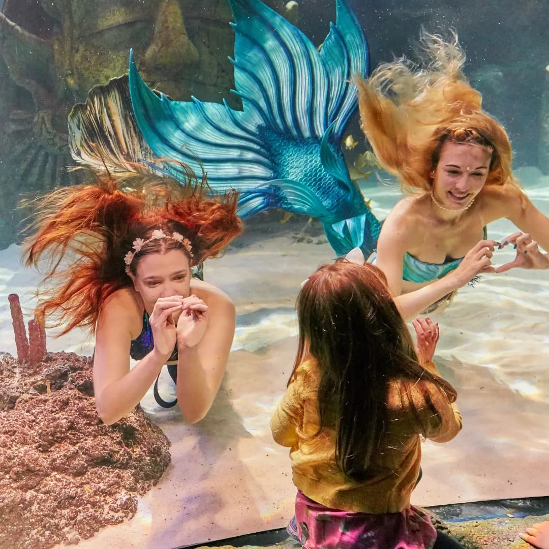 After-hours with the Mermaids