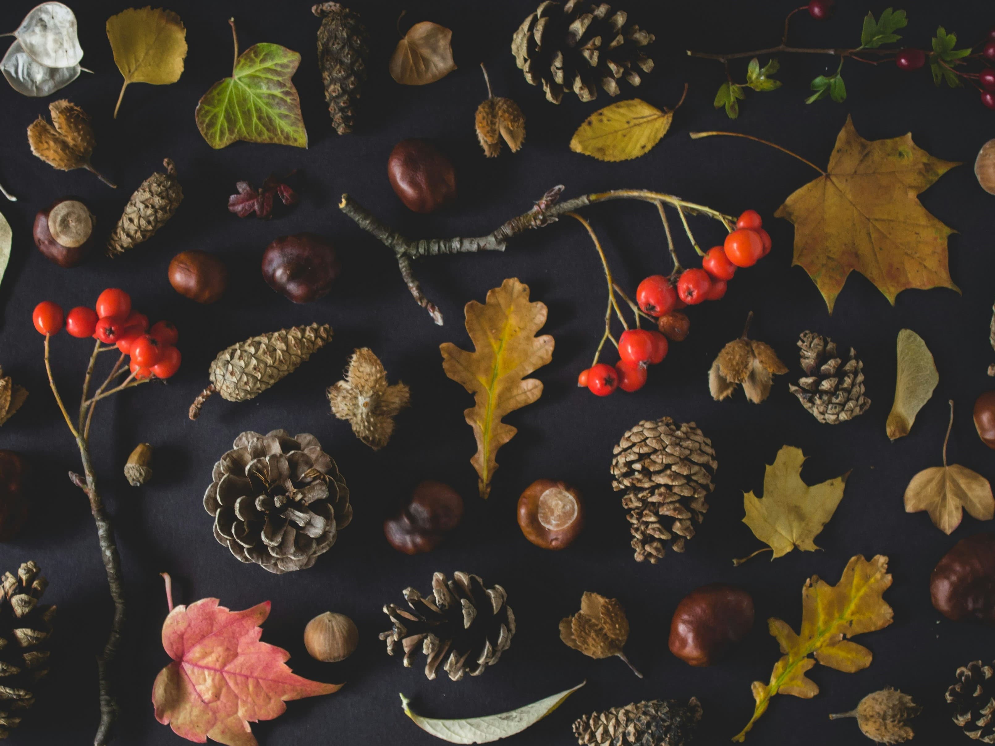 Nature Crafts