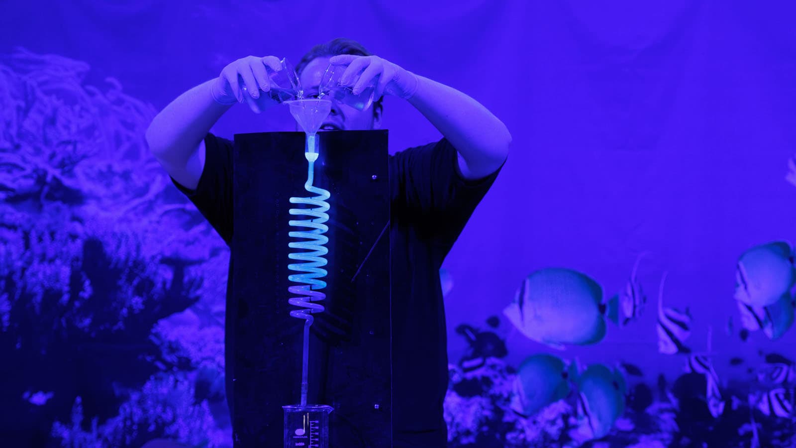 Into the Deep
