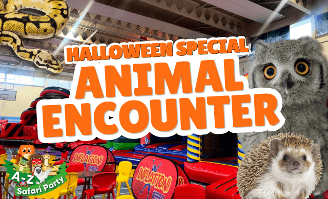 Animal Encounter Halloween Special at Inflation Wirral