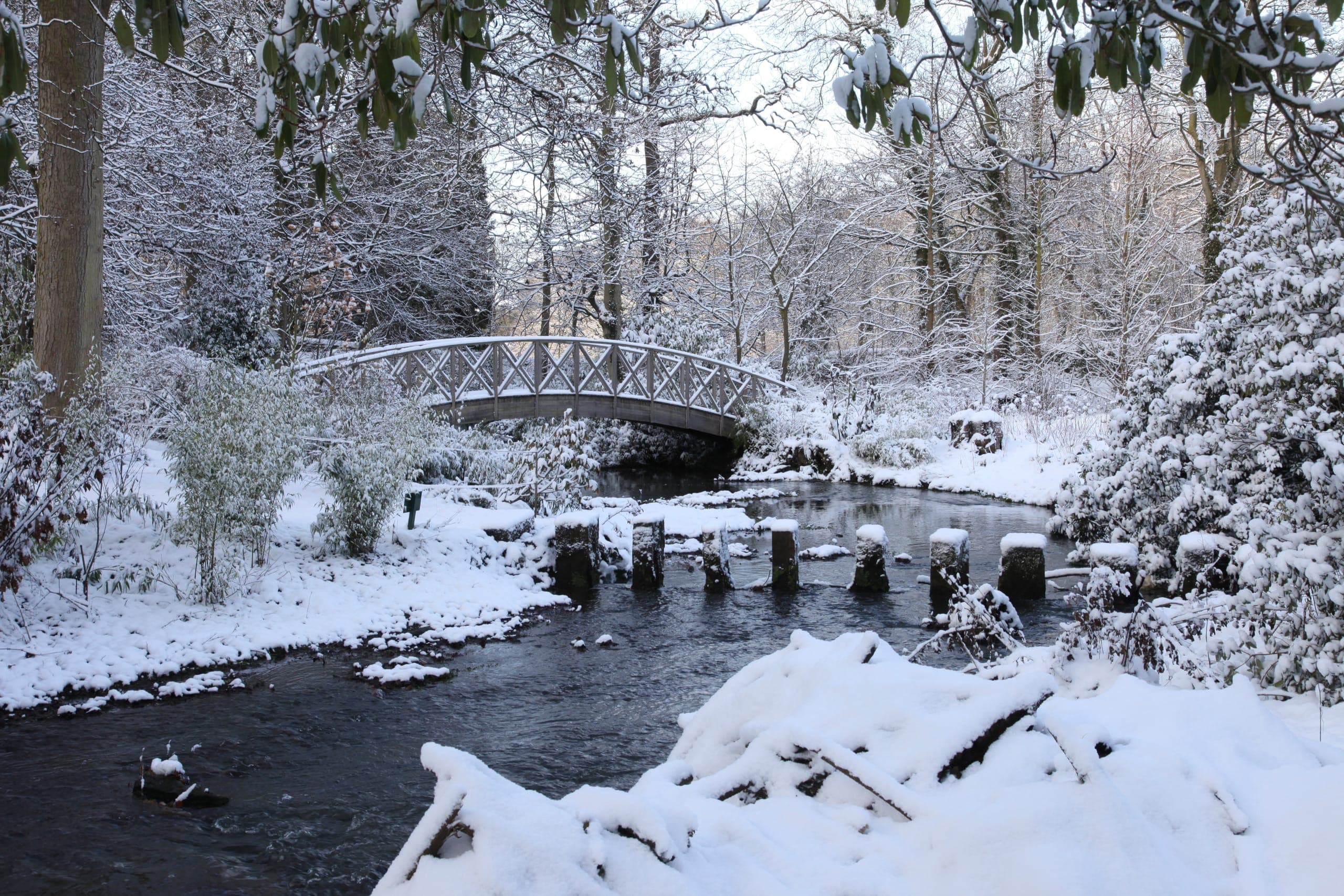 Winter Scavenger Hunt