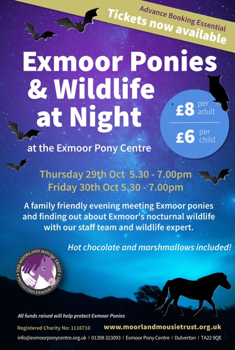 Wildlife at Night