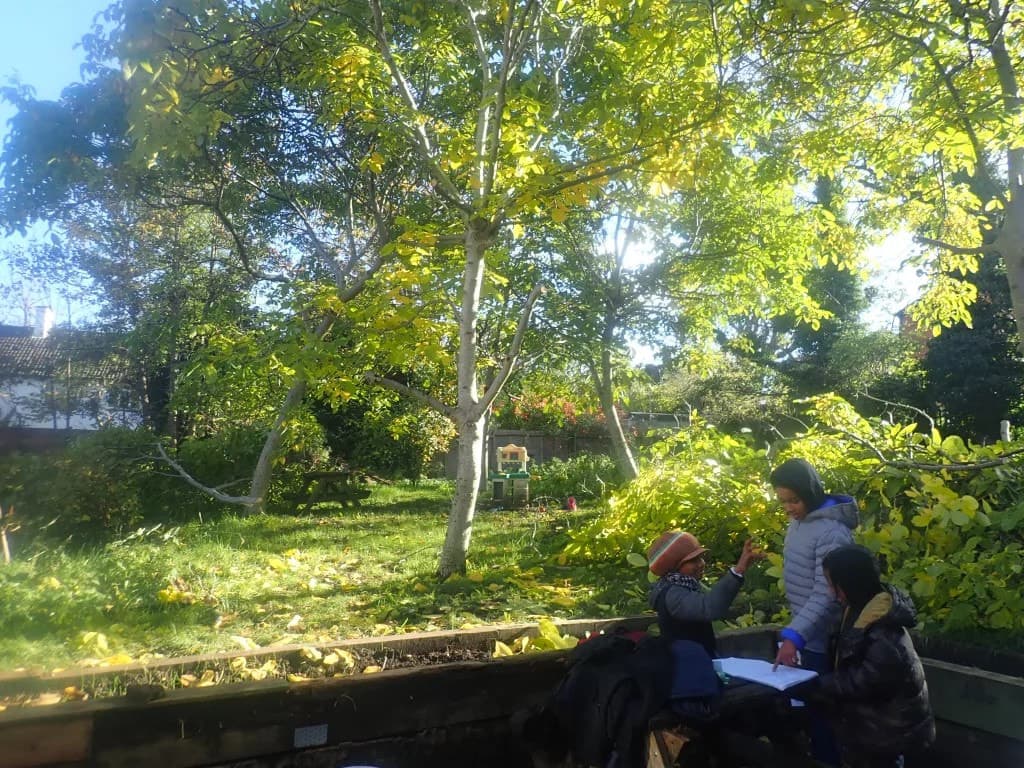 Forest School at Myatt's Fields Park