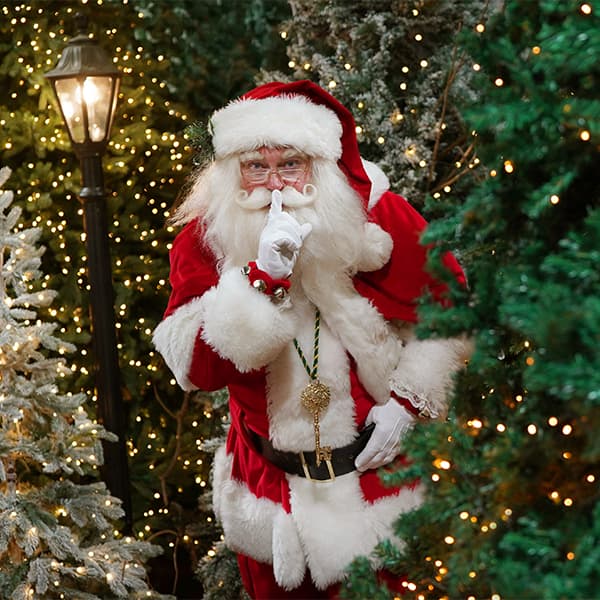 Santa's Quiet Grotto 2026 at Dobbies Stirling