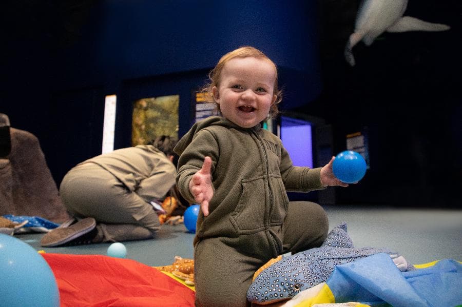 A splash of light: Aquarium Baby Session