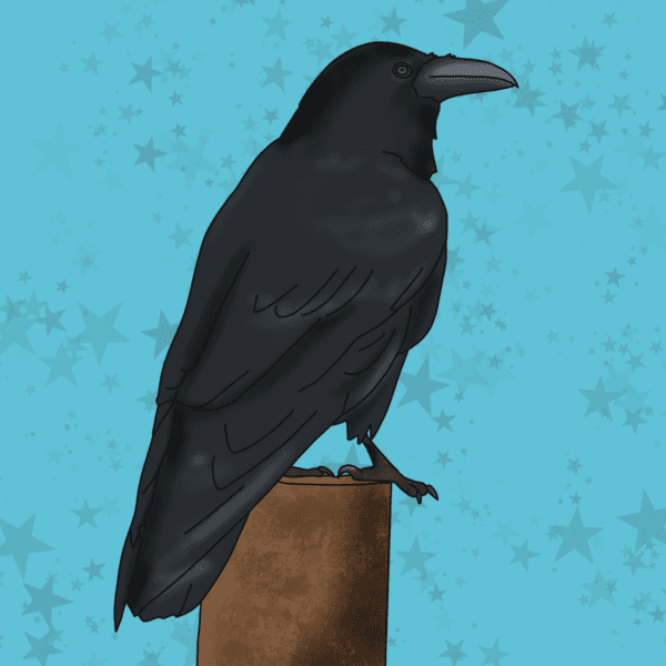 Halloween Raven Trail at Murton Park