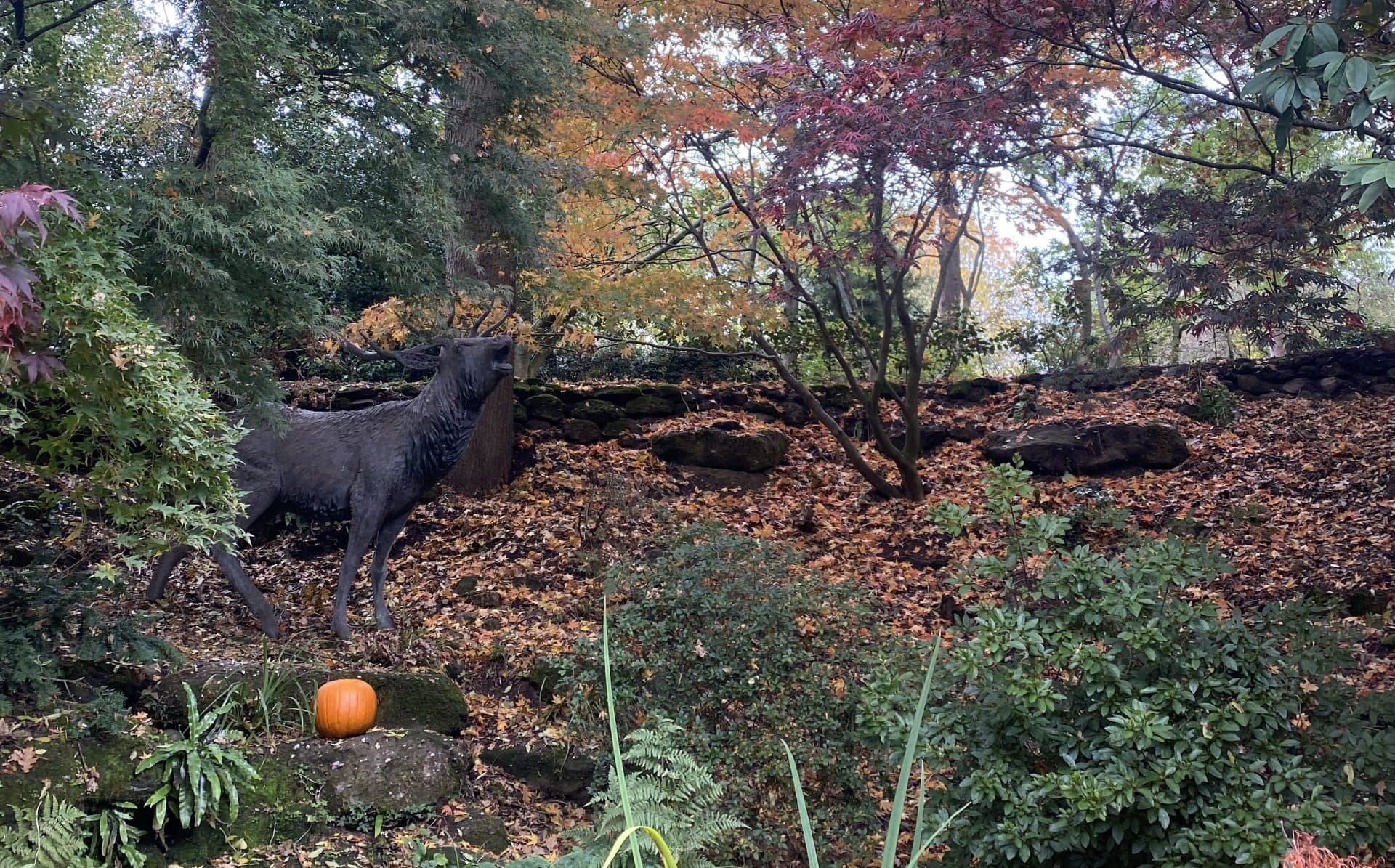 Pumpkin Trail