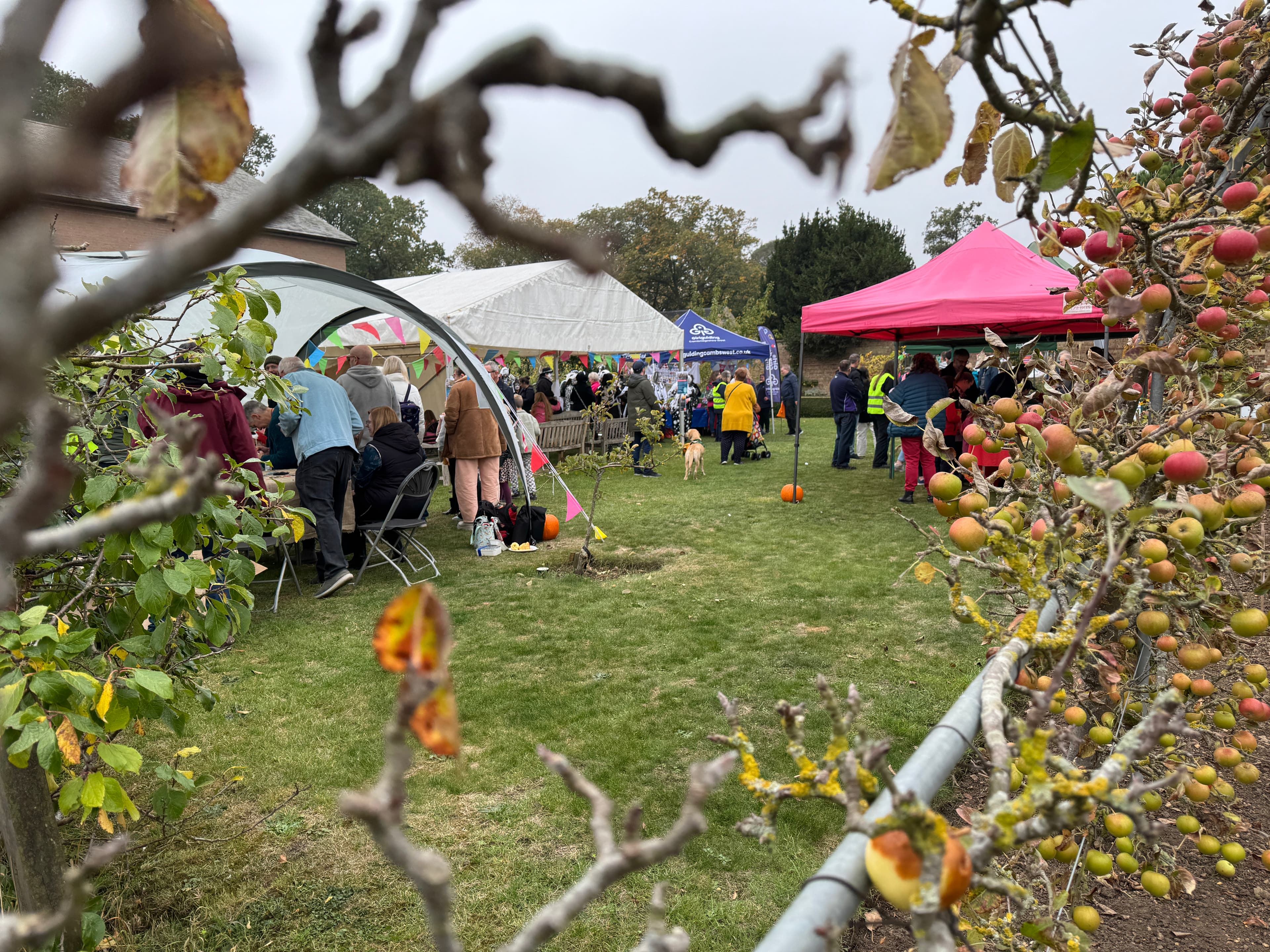 Great Fen Apple And Harvest Fair