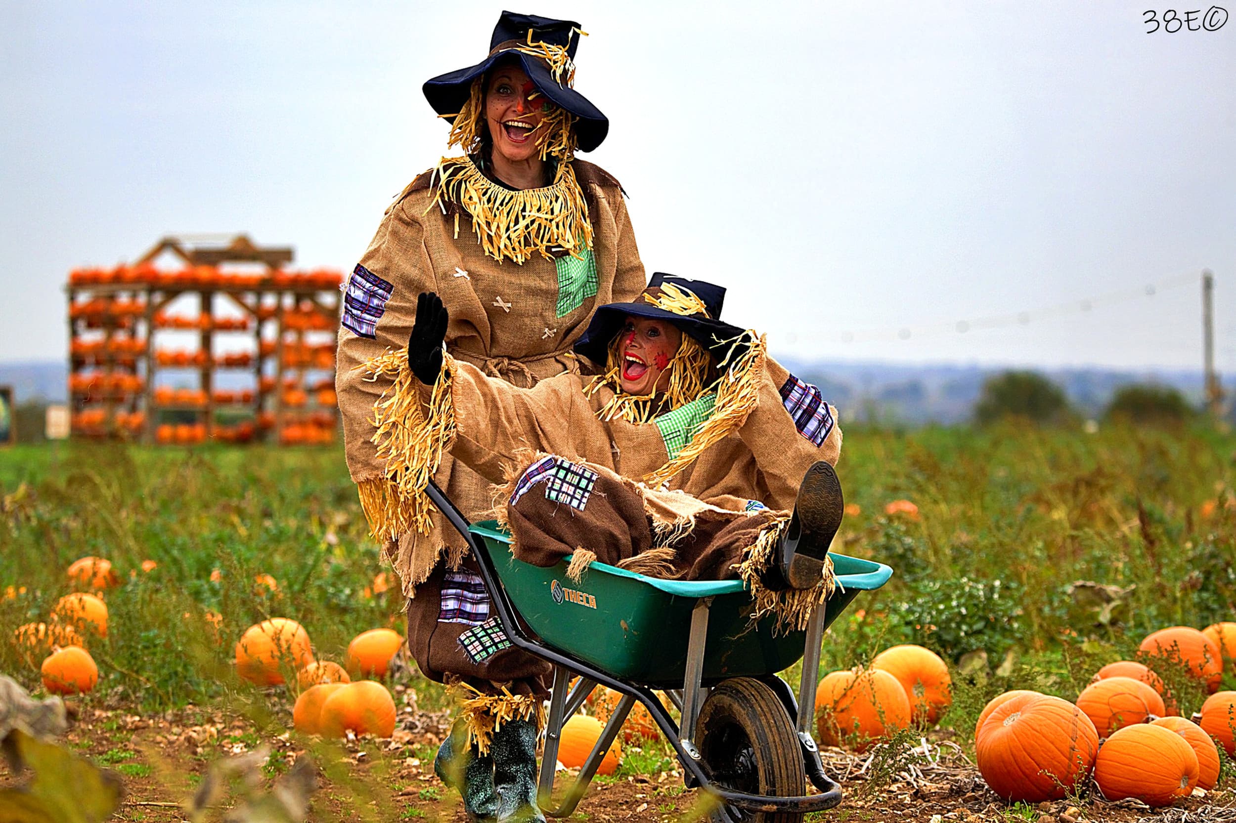 Pumpkin Farm Festival: Daytime