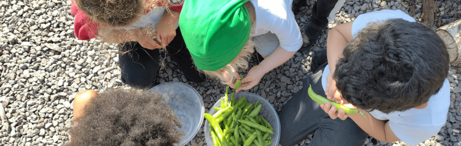 After-school Nature Club at Railway Gardens