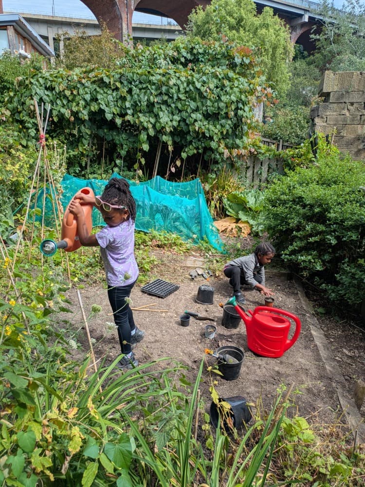 Little Sprouts: free nature play