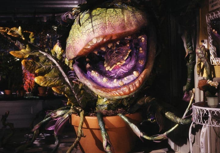 Halloween Underground Cinema | Little Shop of Horrors