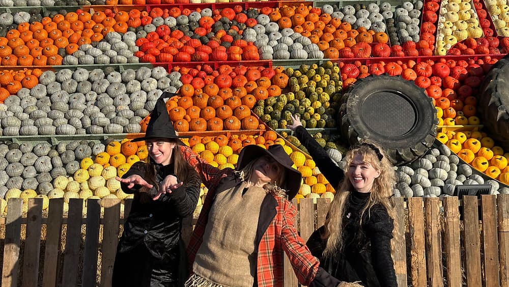 Halloween Pumpkin Patch