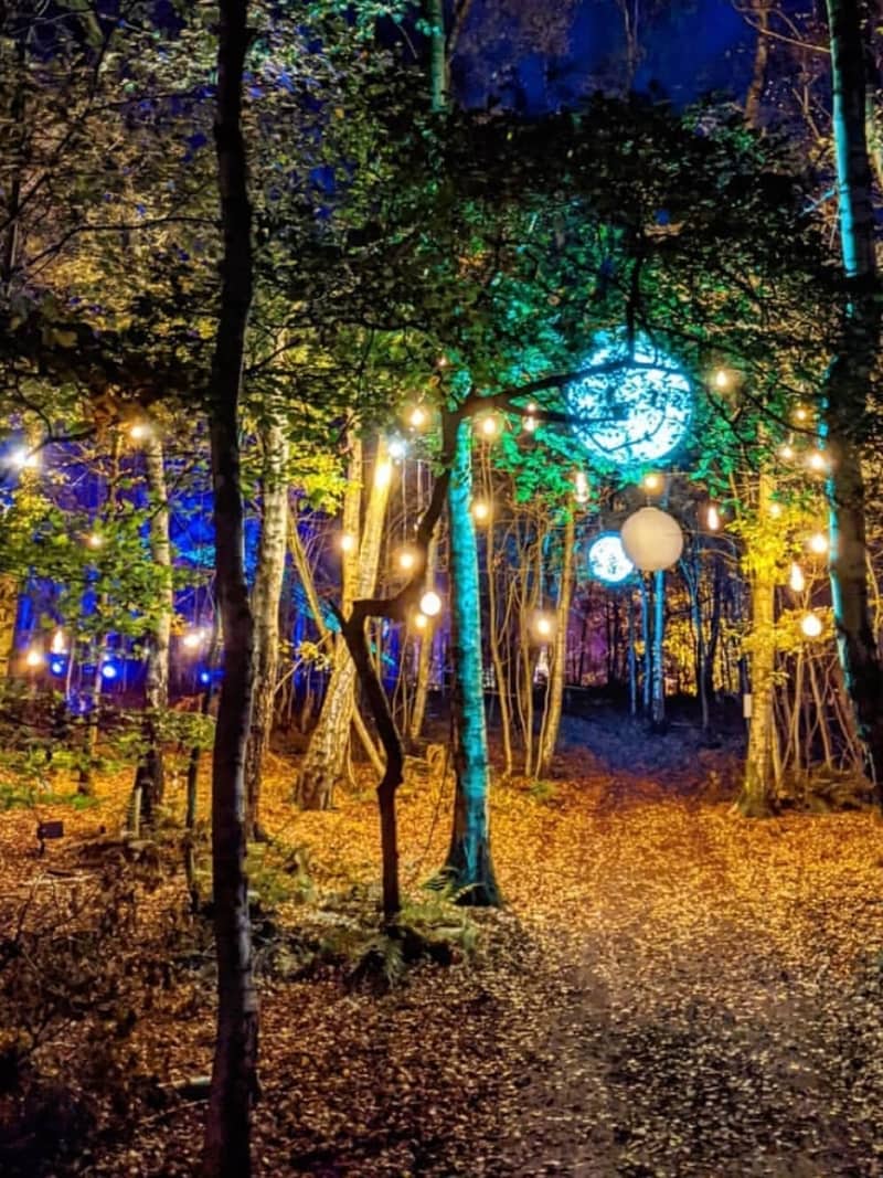 The Magical Woodland at Halloween
