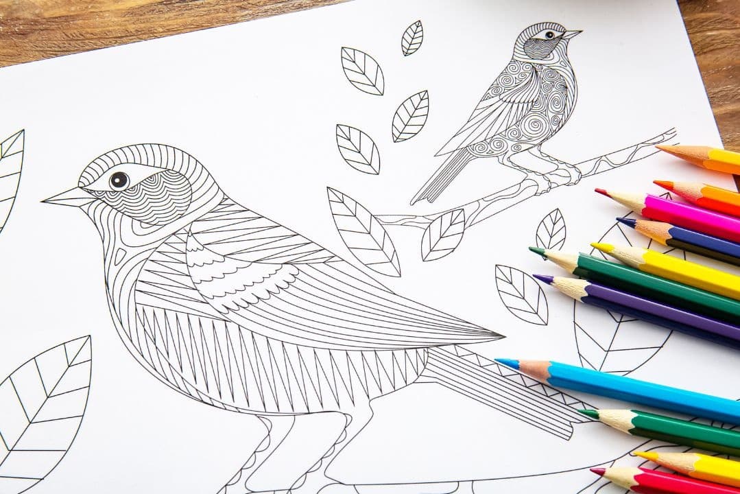 Colour Yourself Calm