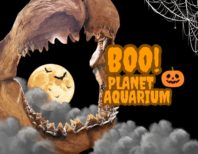 Boo! Planet Aquarium