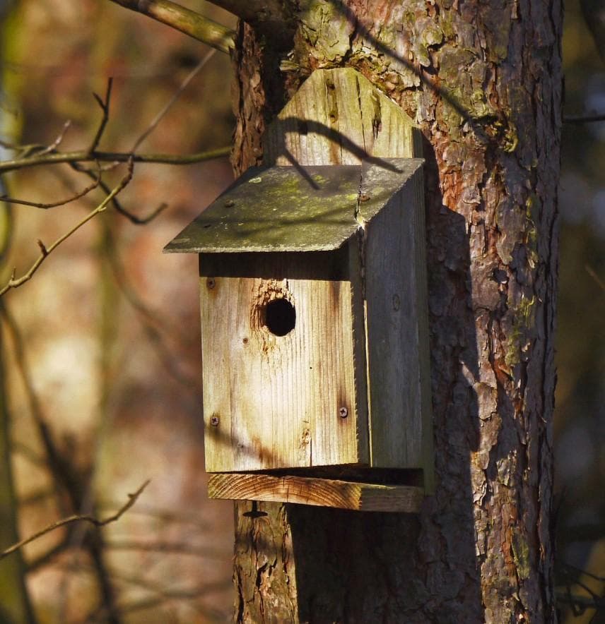 Family bird box building at Ryton Pools Country Park