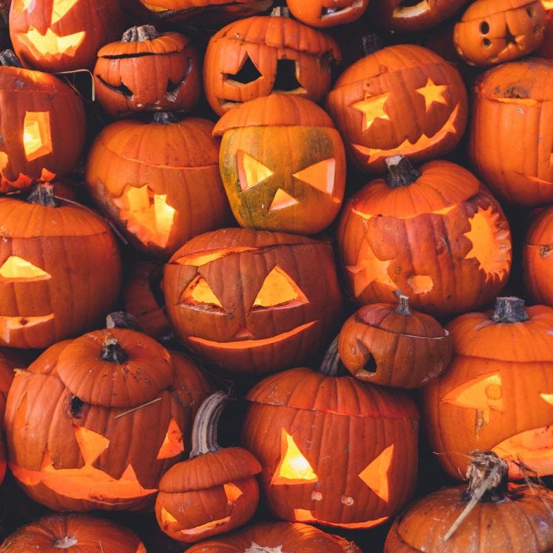 Brooms, Pumpkins, and Bewitching Tales