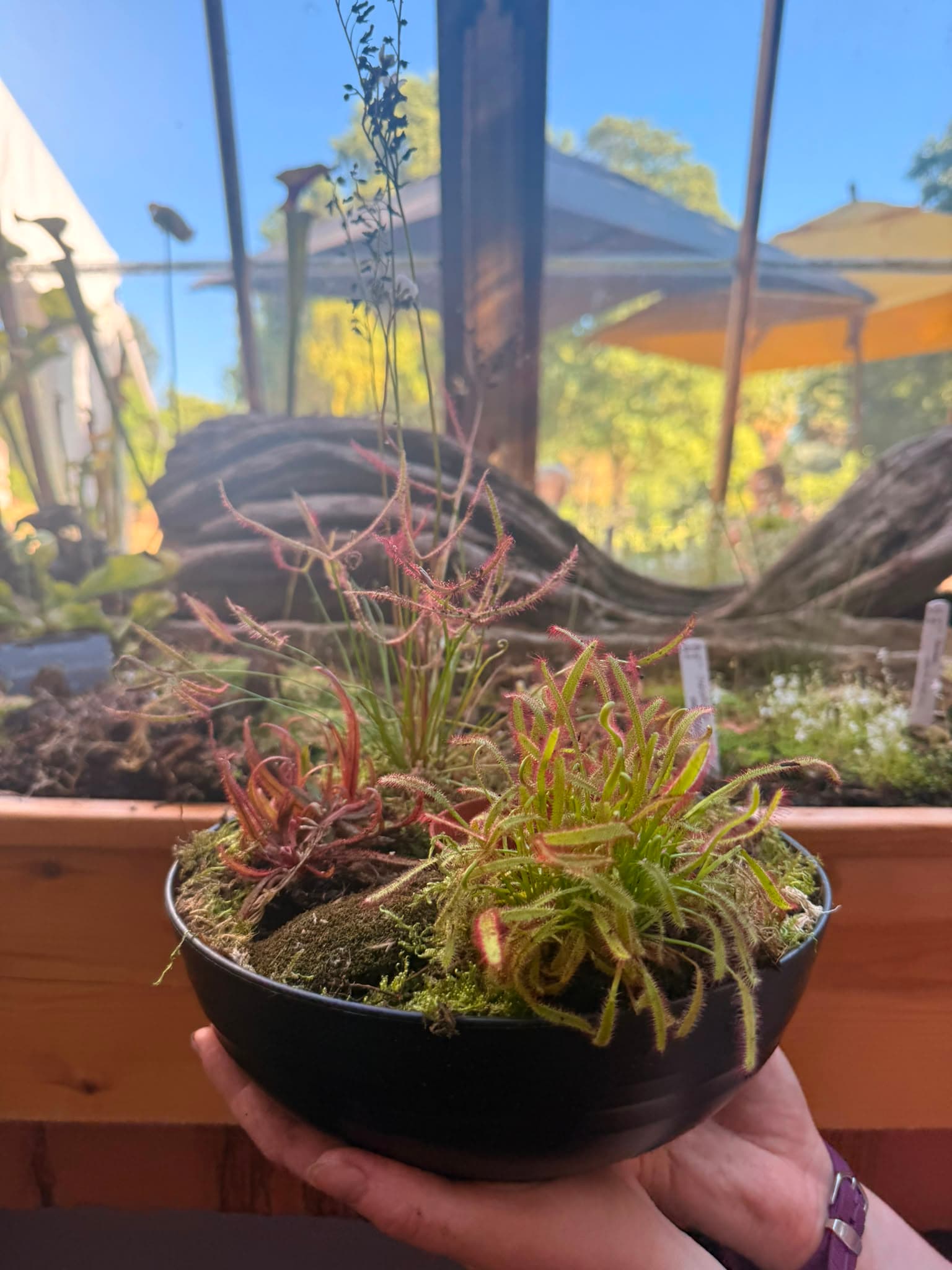 Family Halloween: Build a Beastly Bog Garden