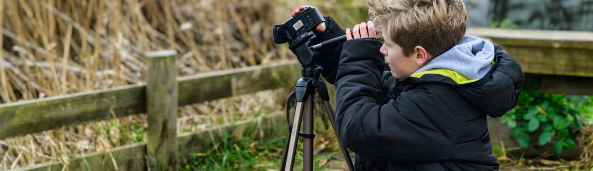 Wildlife filming for families