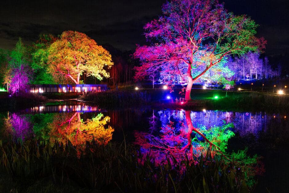 RHS Glow 2026 at RHS Harlow Carr