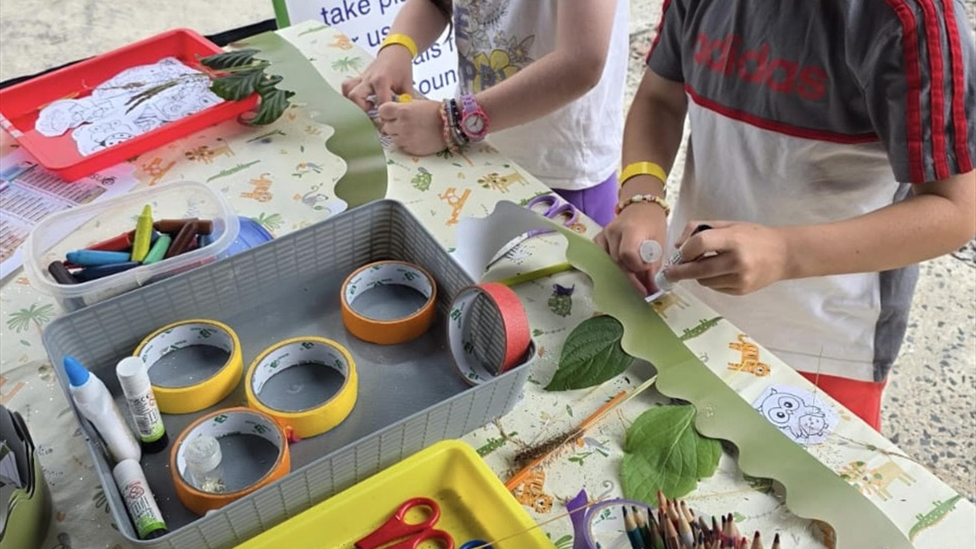 Feathered Friends Craft Day at Slieve Gullion Forest Park