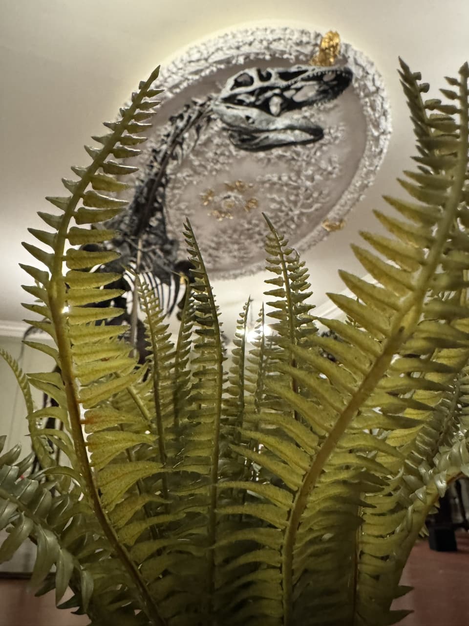 Discover: Museum Wonders