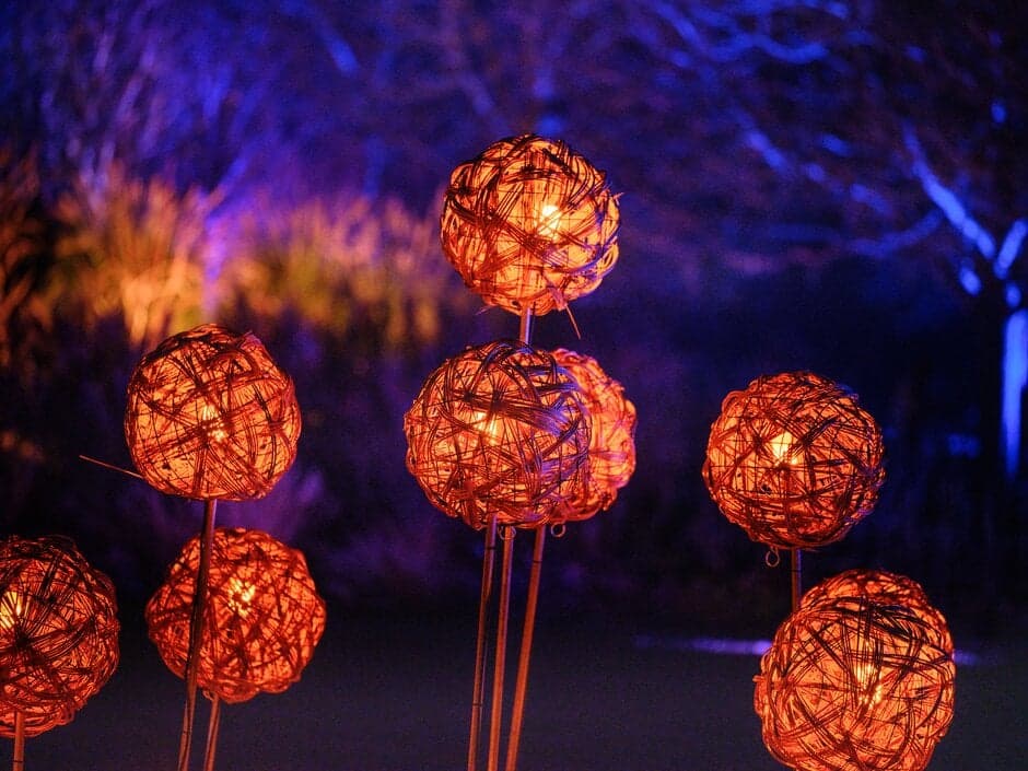 RHS Glow SEN night at RHS Bridgewater