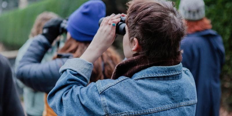 Junior Birders