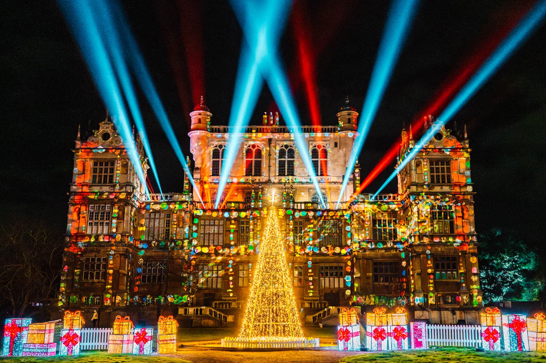 Wollaton Winter Light Trail