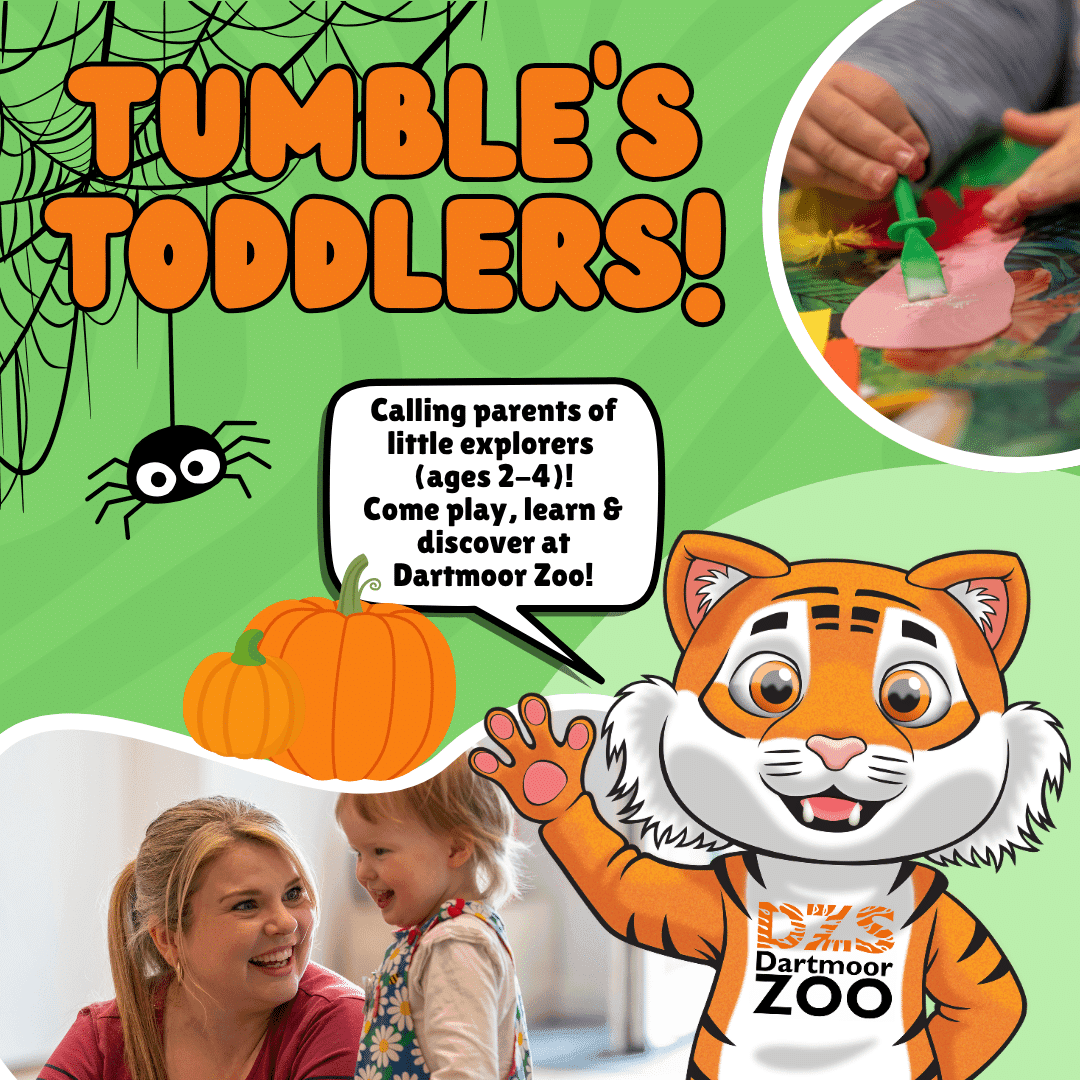 Tumble's Toddlers: Halloween