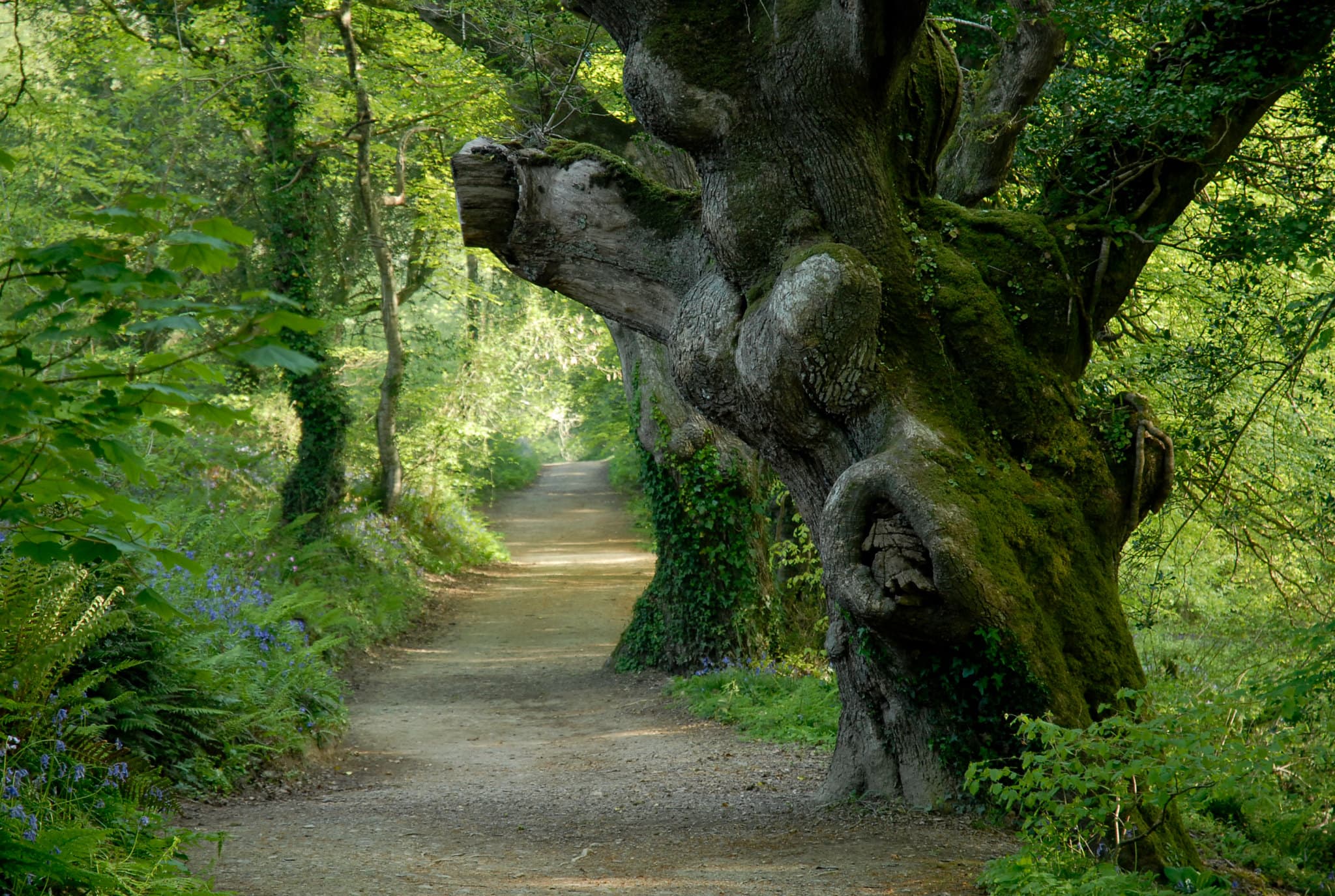 Halloween at Heligan ghost tours
