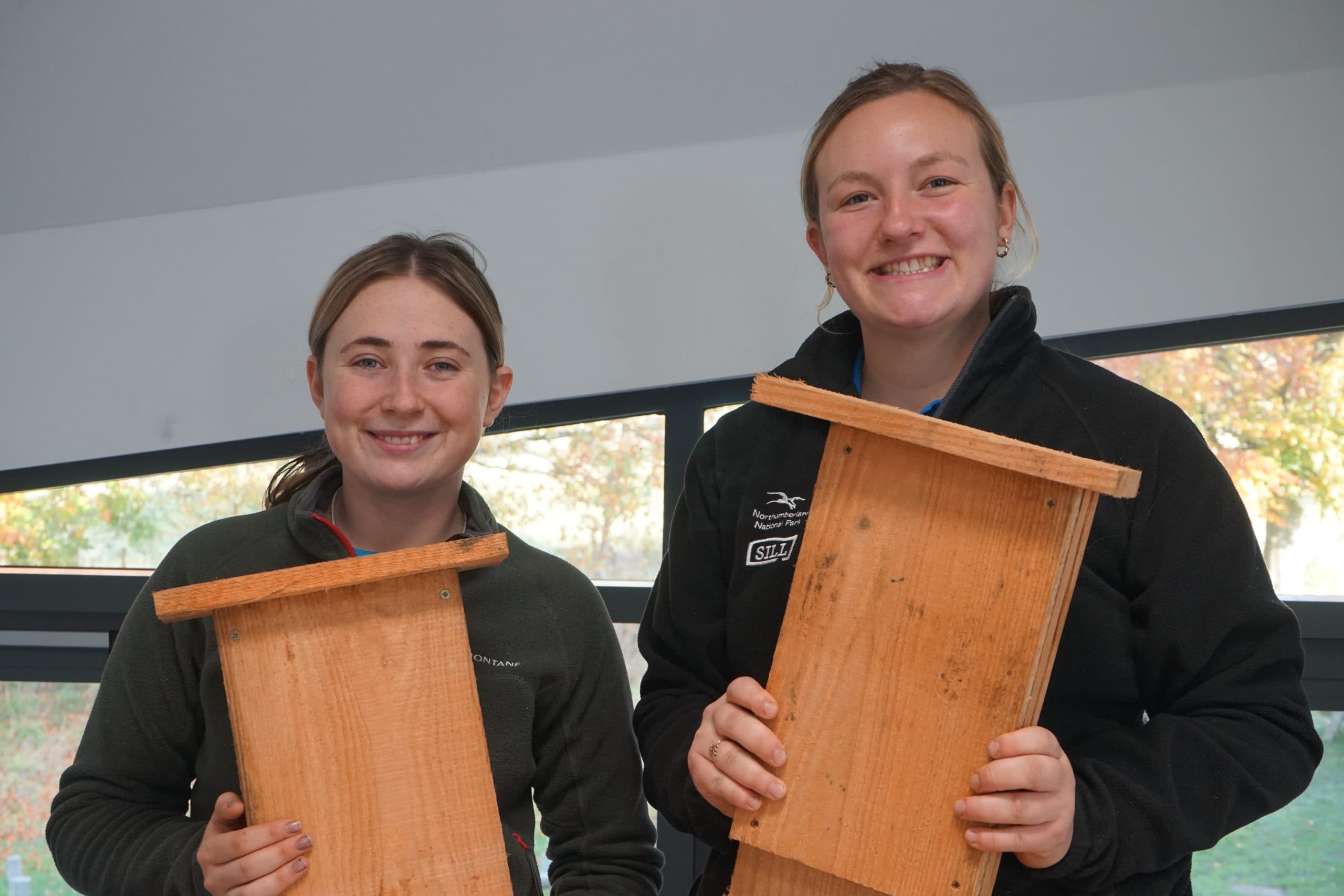 Wild Wednesday: Make a Bat Box