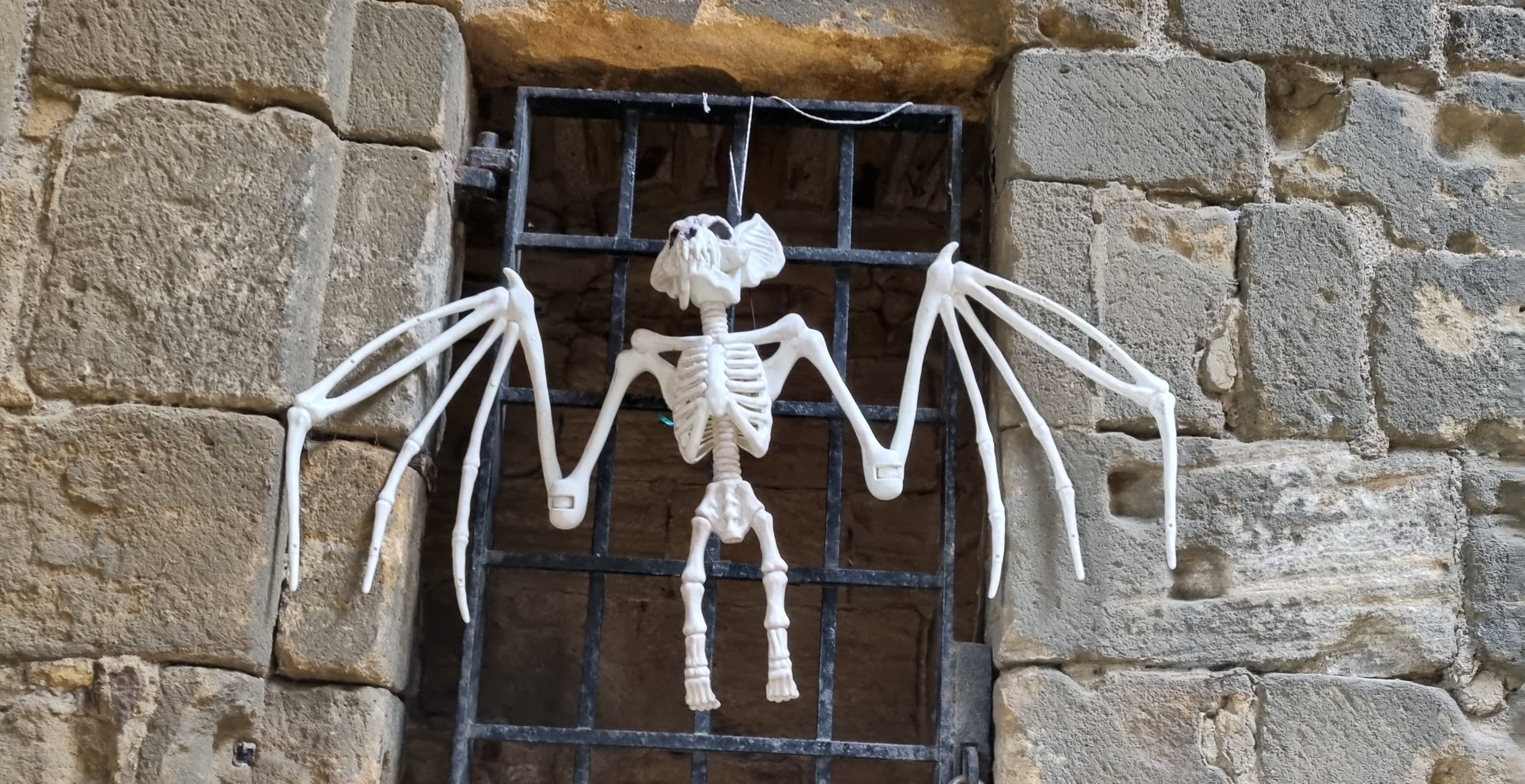 Nocturnal Creatures Trail