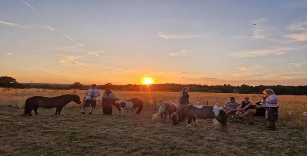 Shetland Pony Walking Experience
