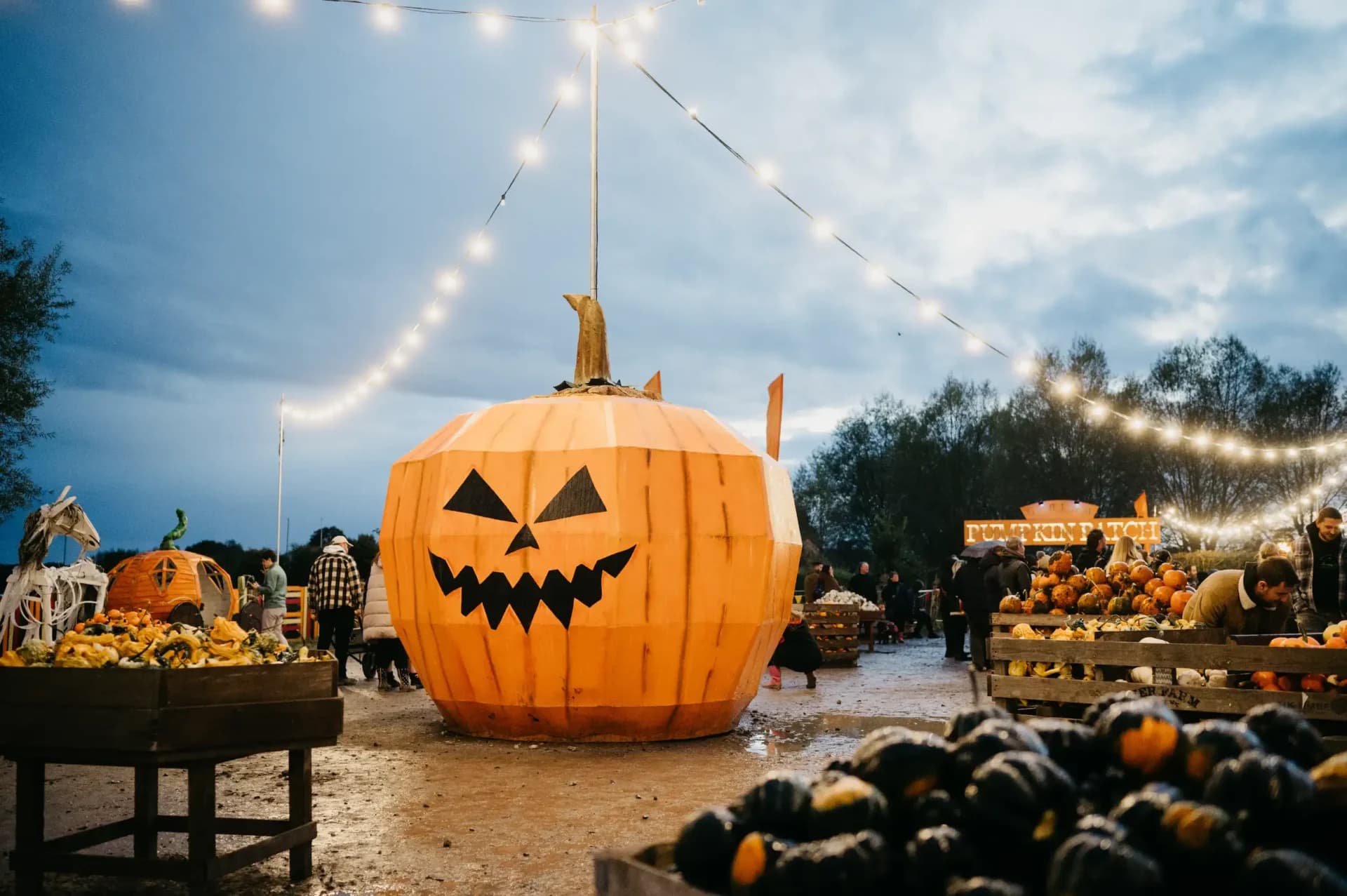 Pumpkins After Dark