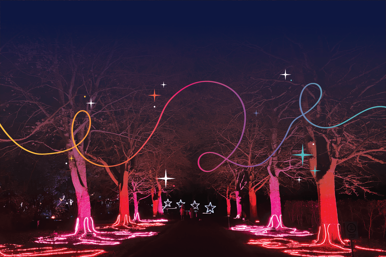 Festive Illumination Light Trail 2026 at Old Down